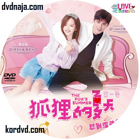 The Fox's Summers รักร้ายของยัยต้มตุ๋น ภาค 1 ซับไทย ซีรีย์จีน (21 ตอนจบ) DVD 4 แผ่น