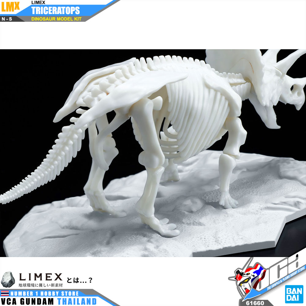 BANDAI LIMEX SKELETON TRICERATOPS โมเดล ไดโนเสาร์ VCA GUNDAM