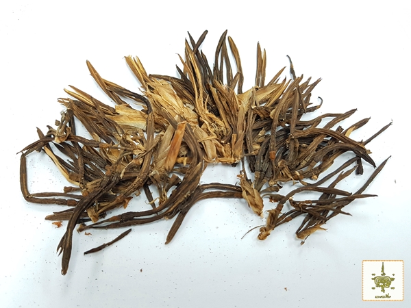 ดอกทอง ตัวผู้-ตัวเมีย