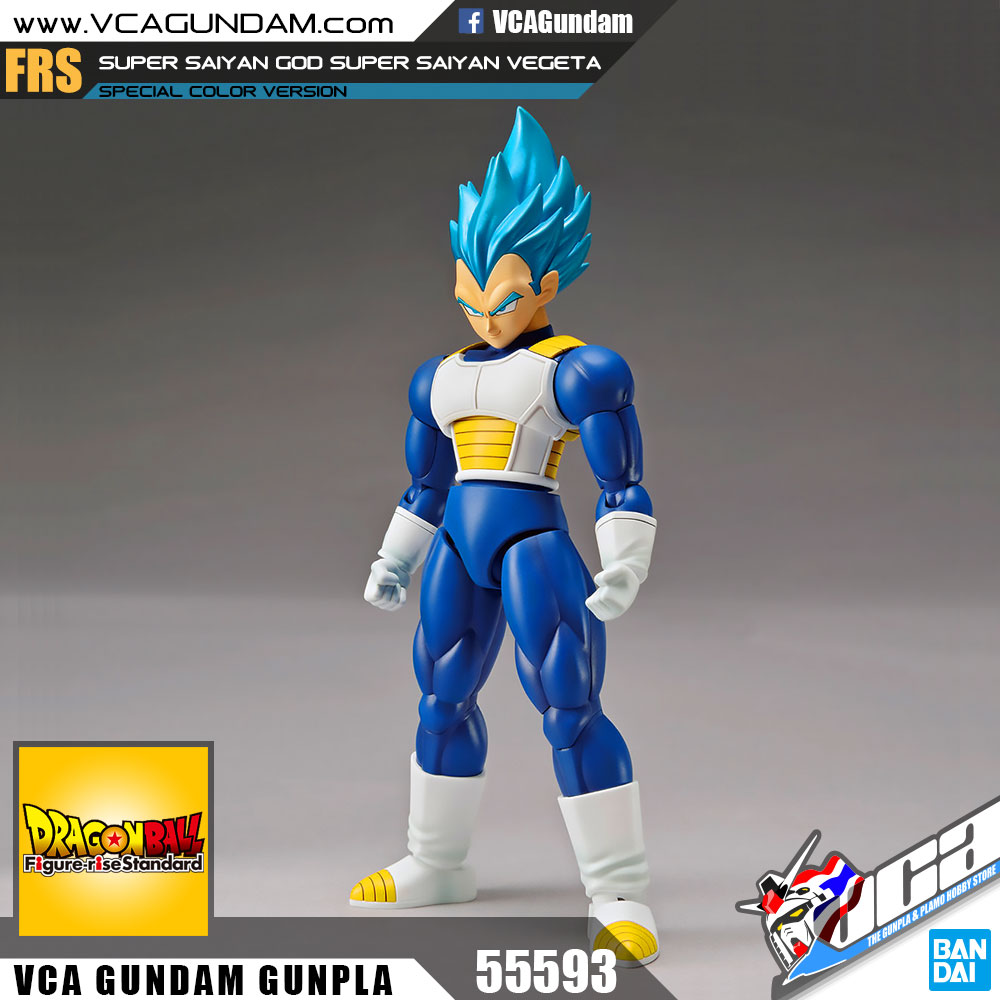 SUPER SAIYAN GOD SUPER SAIYAN VEGETA (SPECIAL COLOR)