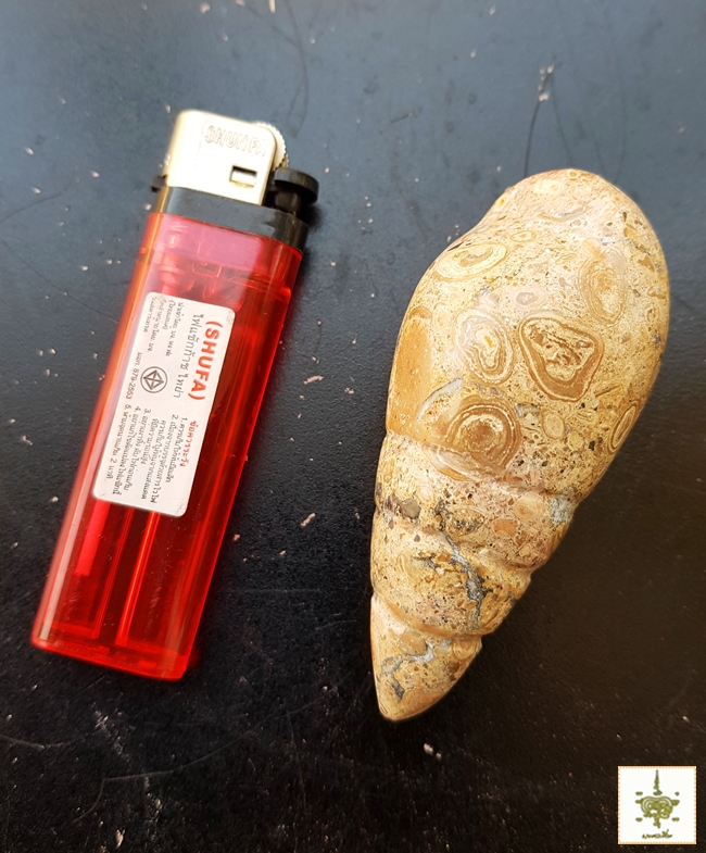 พระธาตุแกะเป็นหอย