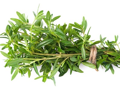 สมุนไพรและเครื่องเทศฝรั่ง ซัมเมอร์ ซาโวรี่ summer savory 500 เมล็ด