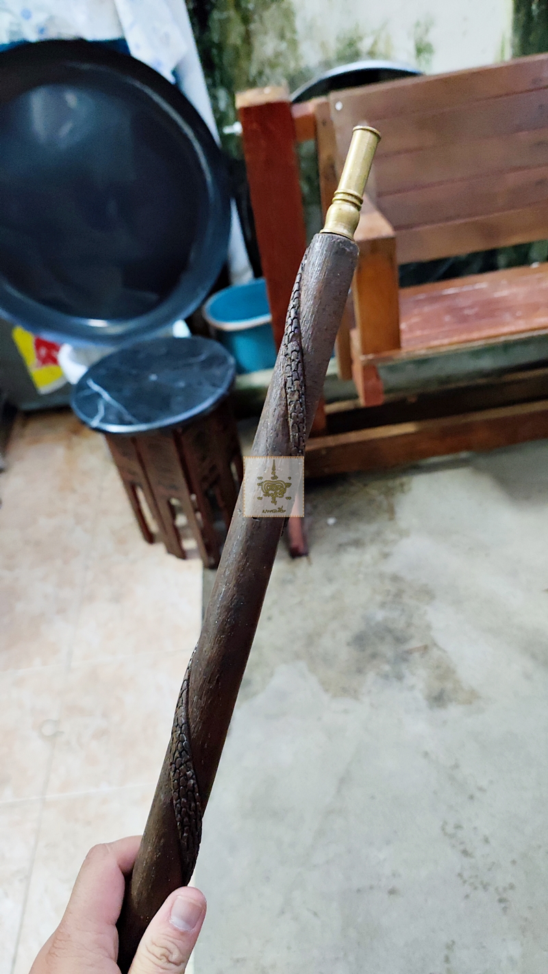 ไม้ตะพตงู