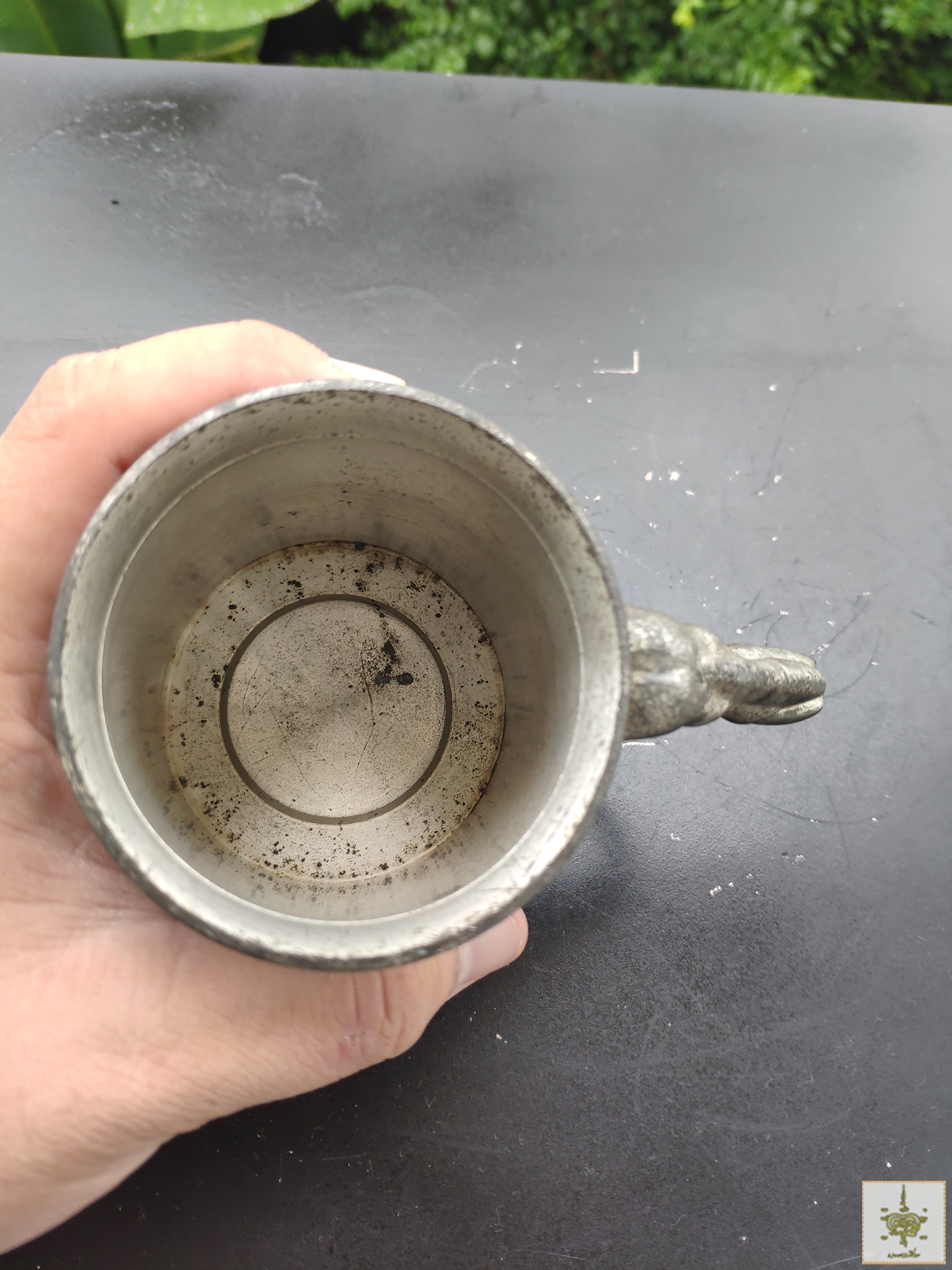 แก้วดีบุก ช้าง