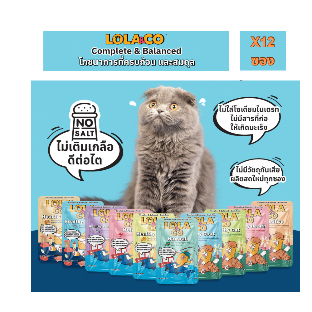LOLA&CO(โลล่าแอนด์โค) Lola & Co โลล่าแอนด์โค อาหารแมวเปียก ขนาด 80gx12