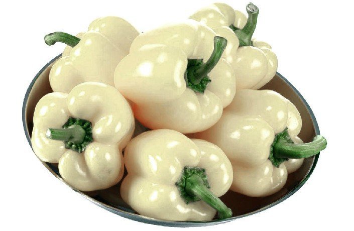 เมล็ดพันธุ์พริกหวานสีขาว White Sweet Pepper 5-10 เมล็ด