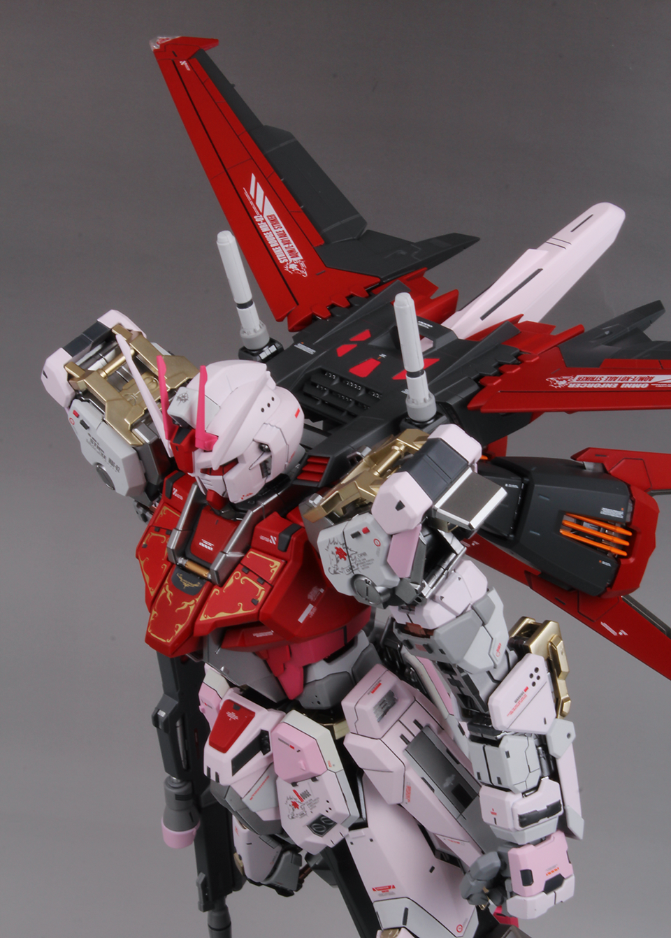 Painted Build : PG STRIKE ROUGE & SKYGRASPER by power03311