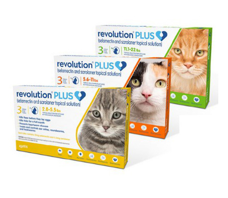 Revolution Plus for Cats ยาหยอดกำจัดเห็บ หมัด แมว 1 กล่อง 3 หลอด