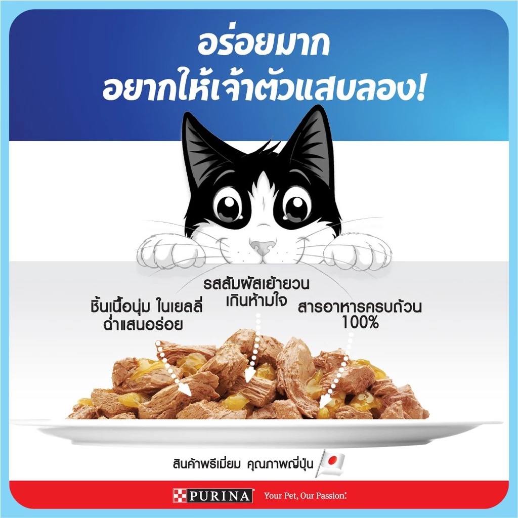 เฟลิกซ์® Felix อาหารแมว ขนาด 70gX24 ซอง ครบทุกรส