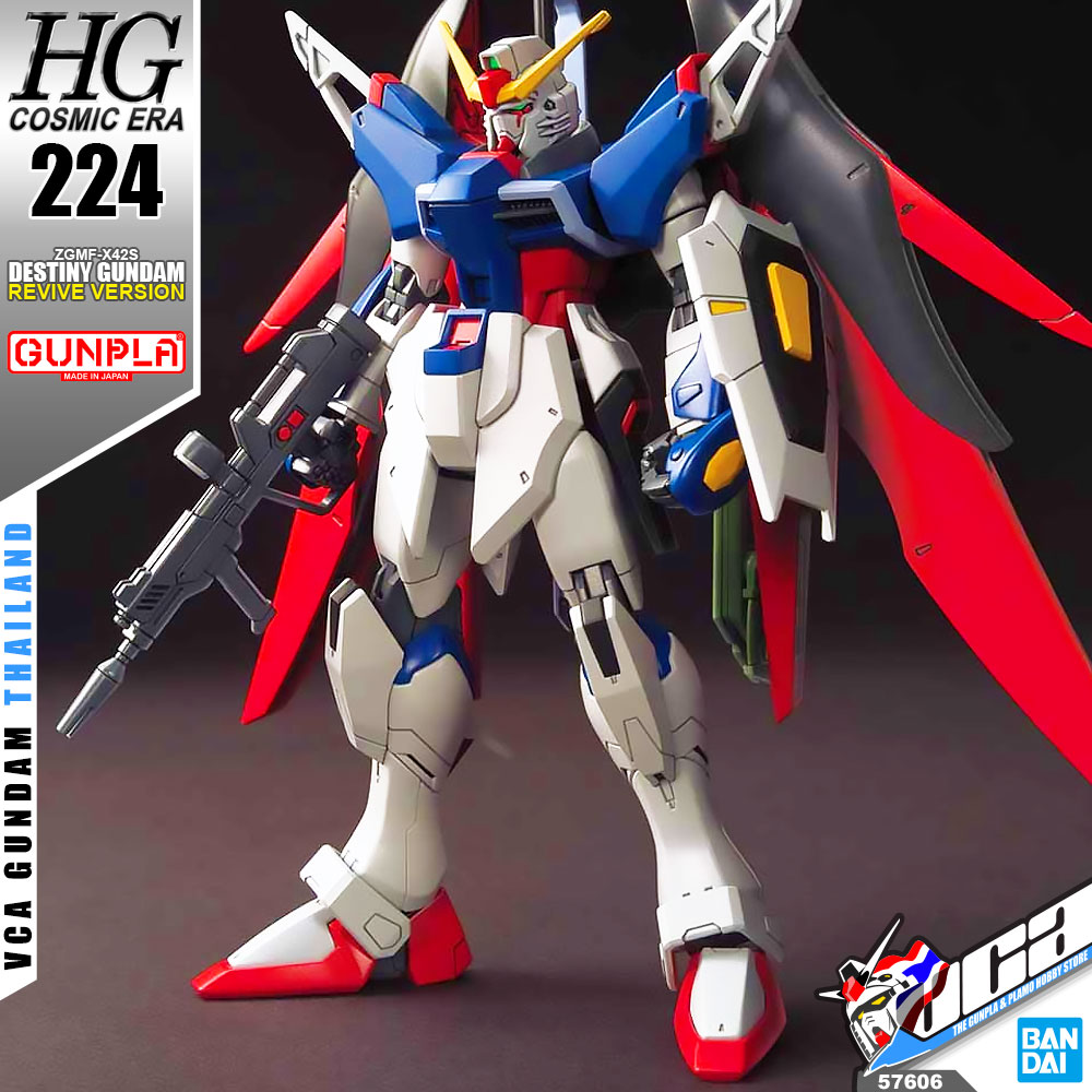 HG DESTINY GUNDAM (REVIVE)