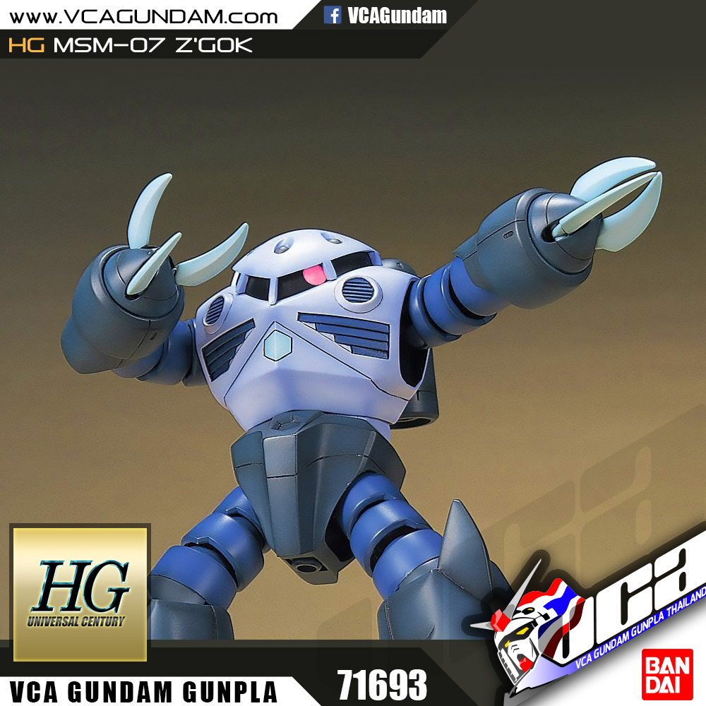 HG MSM-07 Z'GOK