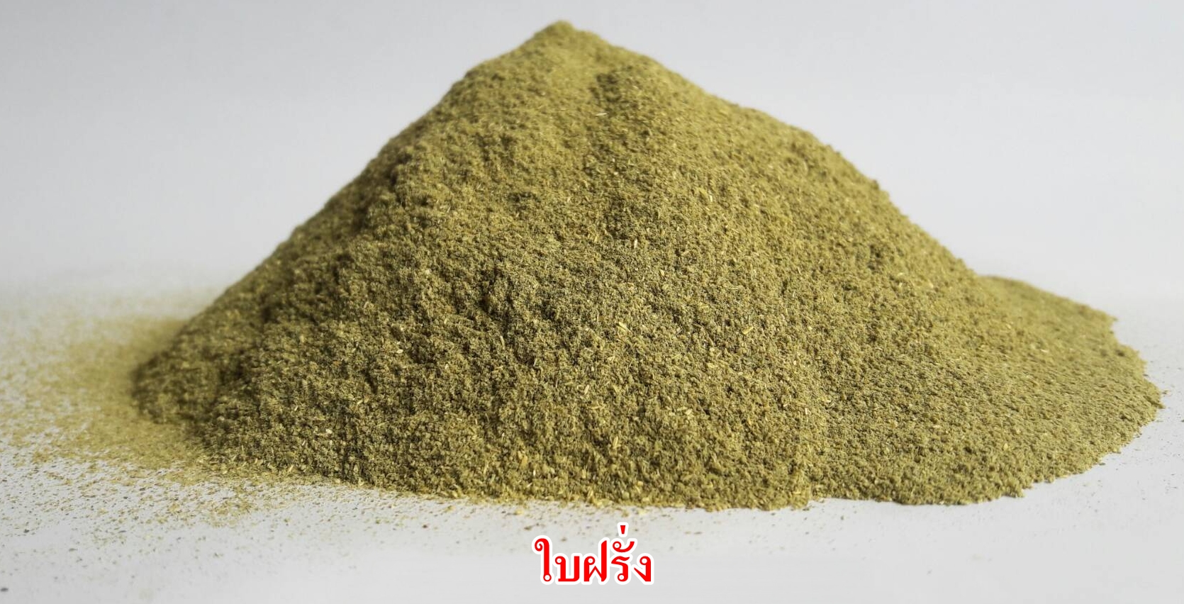 ผงใบฝรั่ง 100% (Guava Leaf Extract Powder)