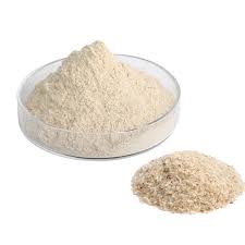 ผงไซเลี่ยมฮัสค์ 100% (Psyllium Husk Powder 100%)
