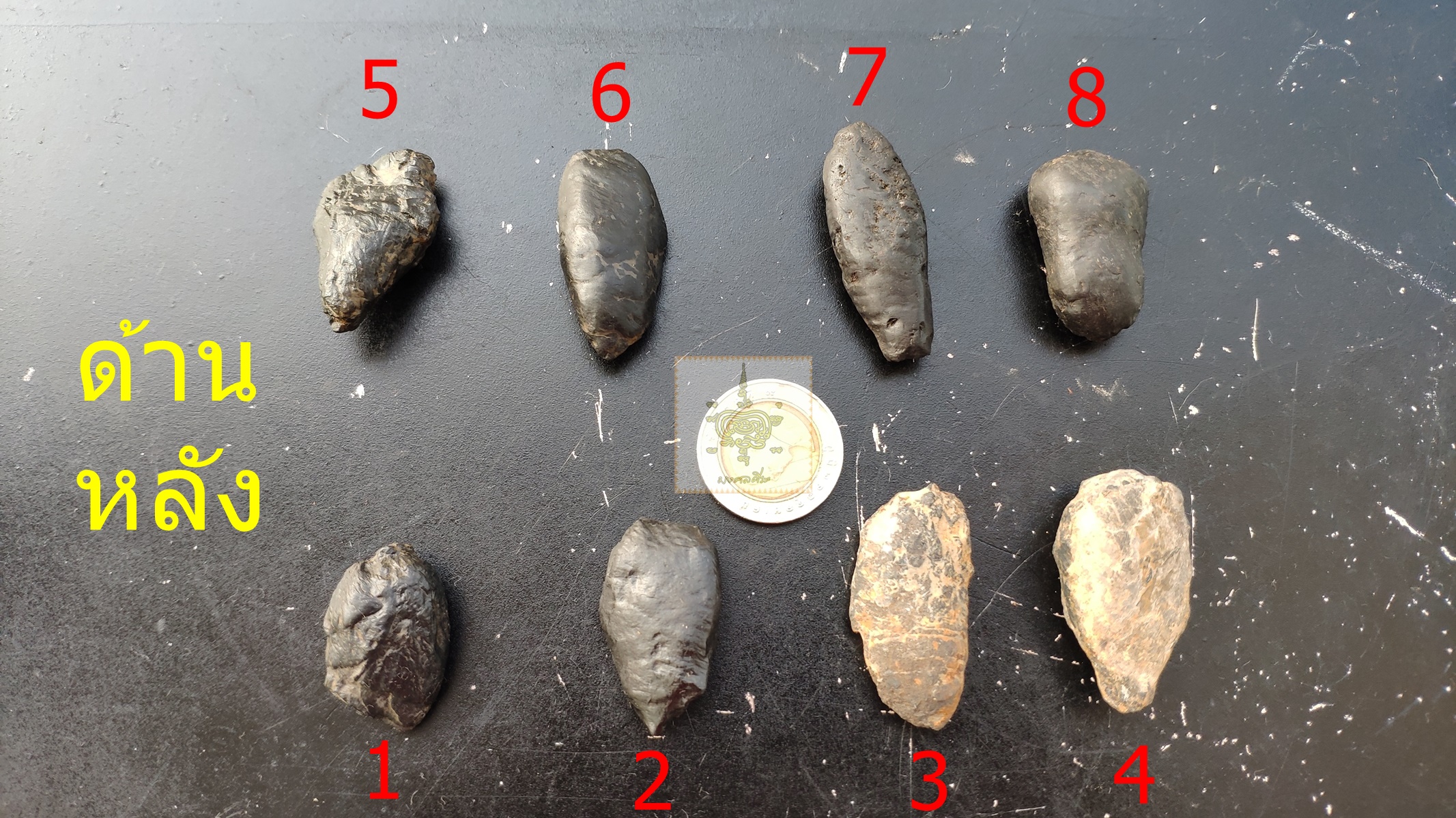 คตดักแด้ ชุดที่ 1