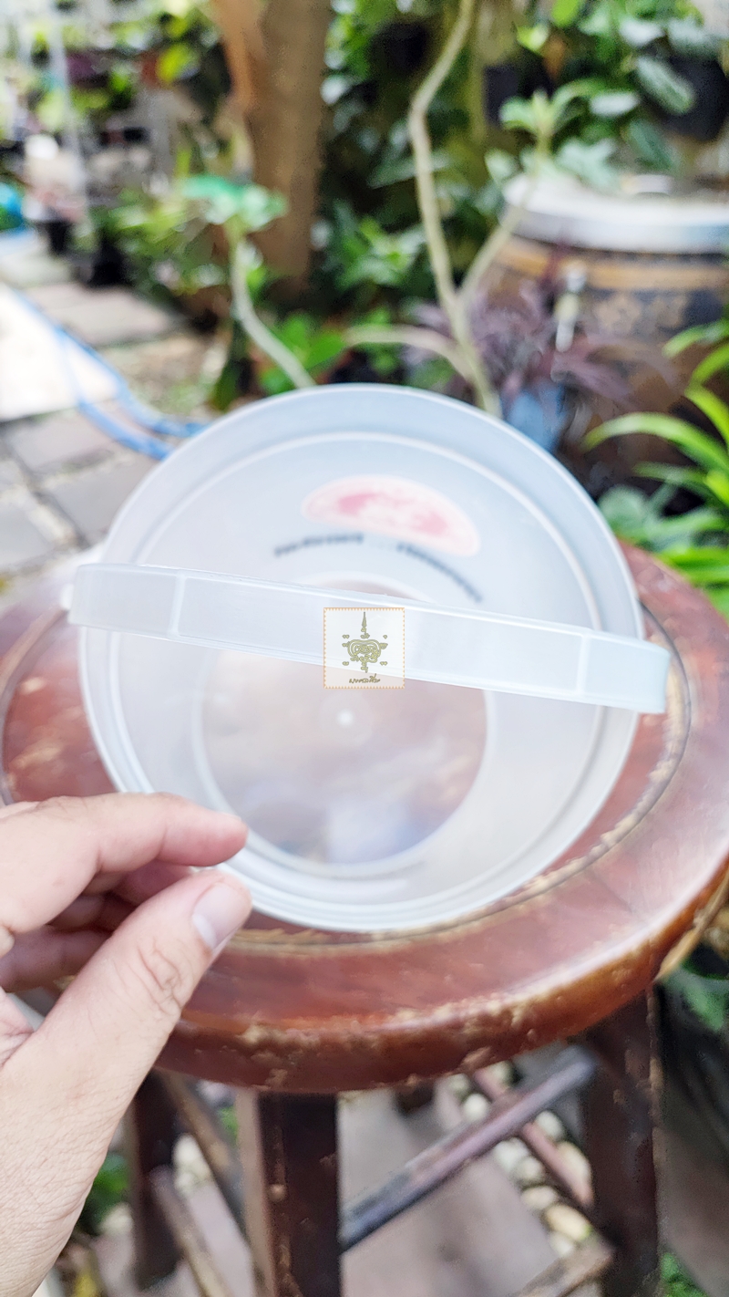 กระติกน้ำแข็ง สิงห์