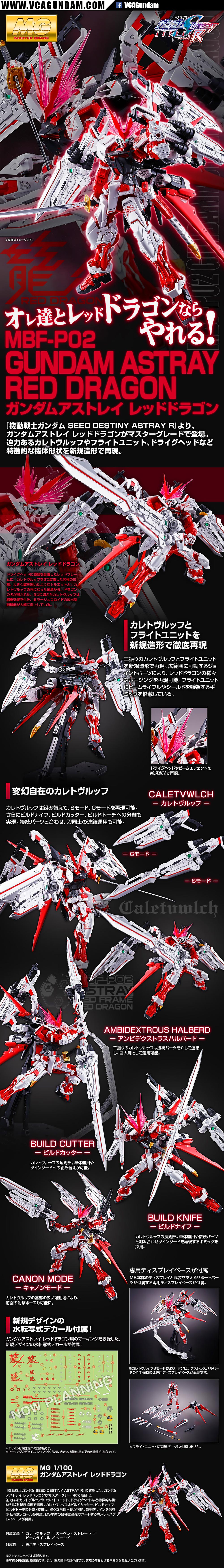 MG GUNDAM ASTRAY RED DRAGON