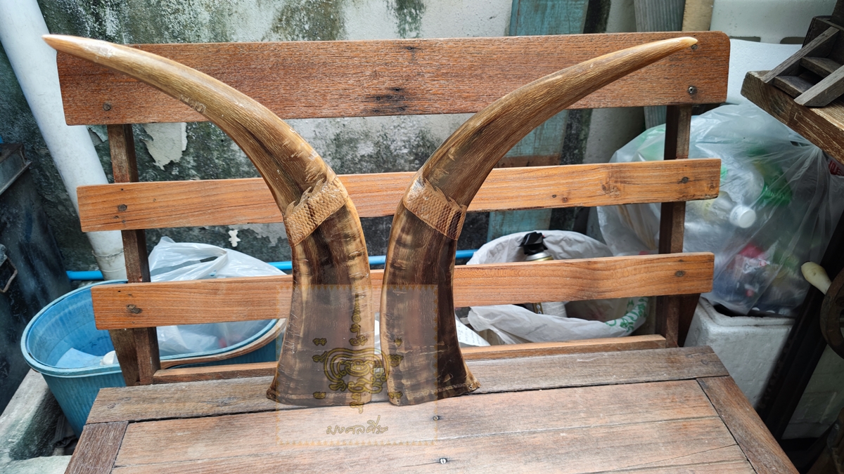 เขาควายเผือก 8