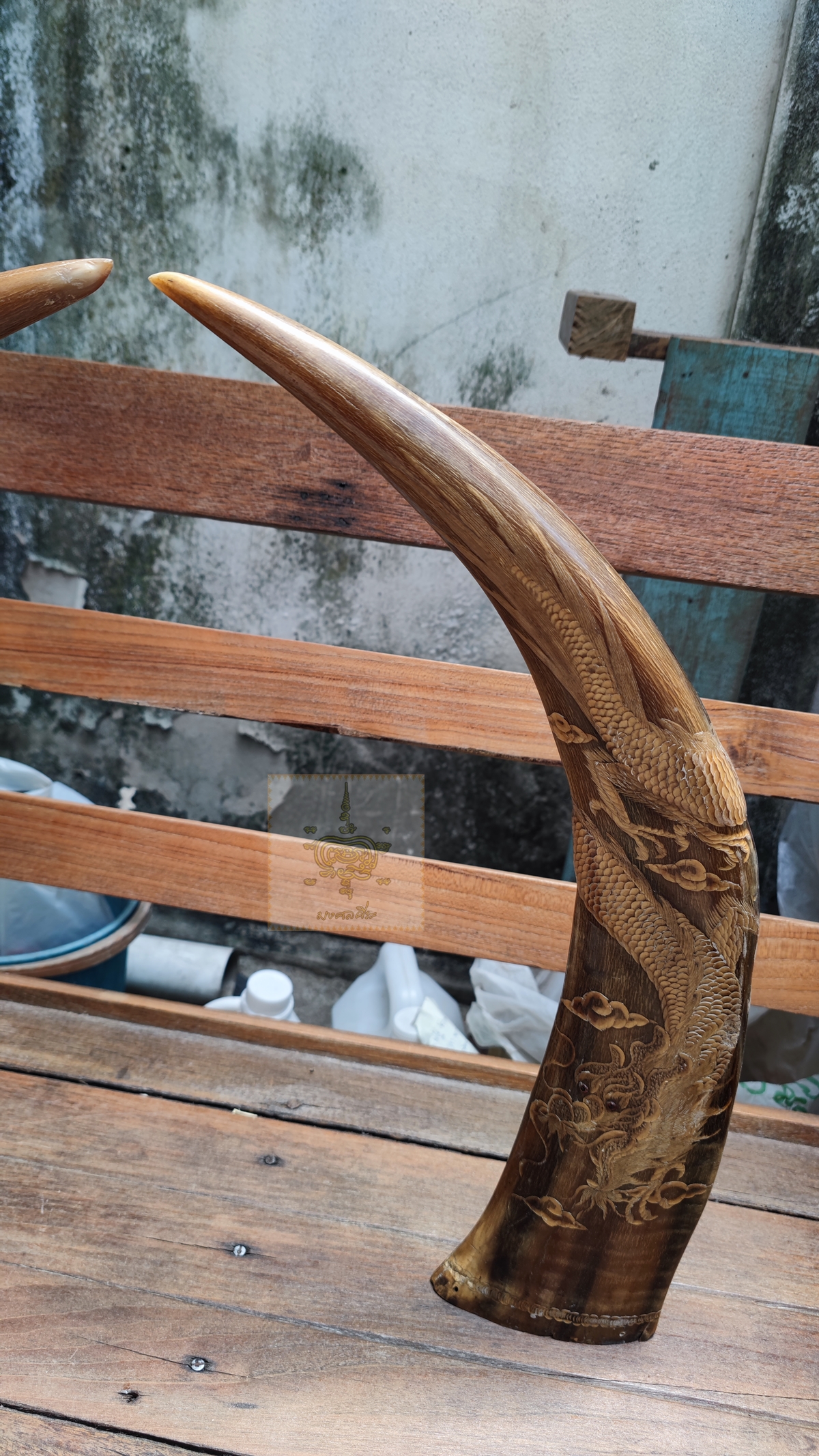 เขาควายเผือก 8