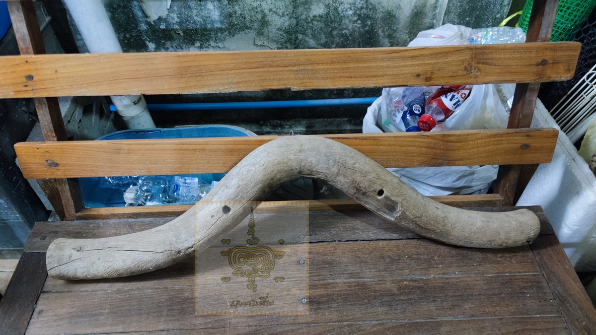 แอกวัว 1