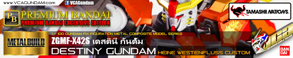B DESTINY GUNDAM (HEINE WESTENFLUSS CUSTOM) เดสตินี่ กันดั้ม