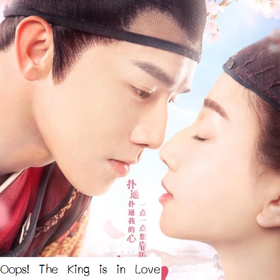 [จีนพากย์ไทย] รักนี้ดุจดาวเคียงเดือน Oops! The King is in Love ฝ่าบาทดุจเดือนข้าดุจดาว DVD 4 แผ่น