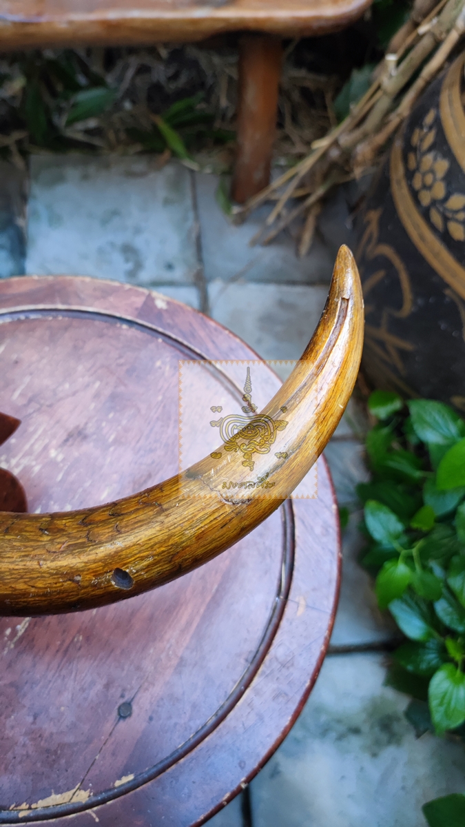 เขาวัว ติดไม้แขวนของ