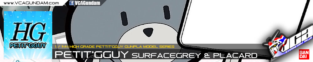 HG PETIT'GGUY SURFACEGREY & PLACARD