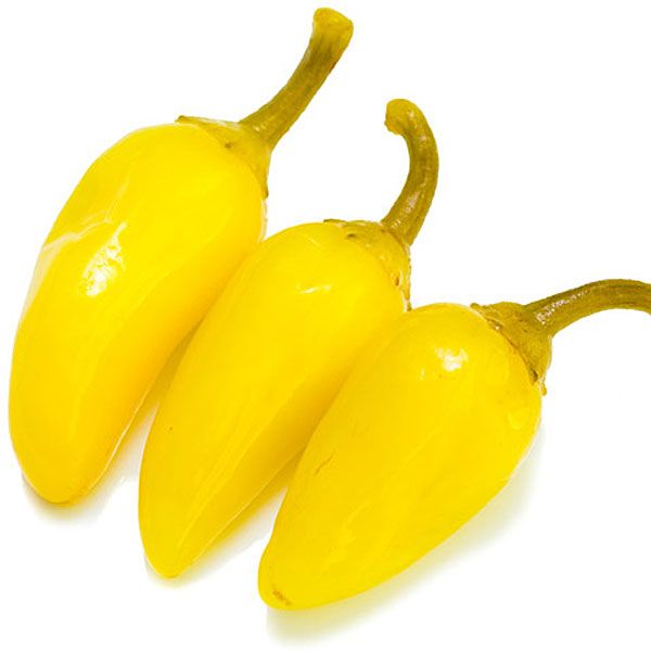 พริกเหลืองจีน Yellow Hot Pepper ชุดละ 20 เมล็ด