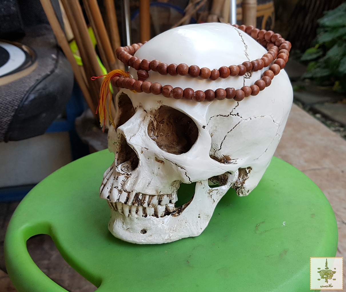 เรซินหัวกะโหลก