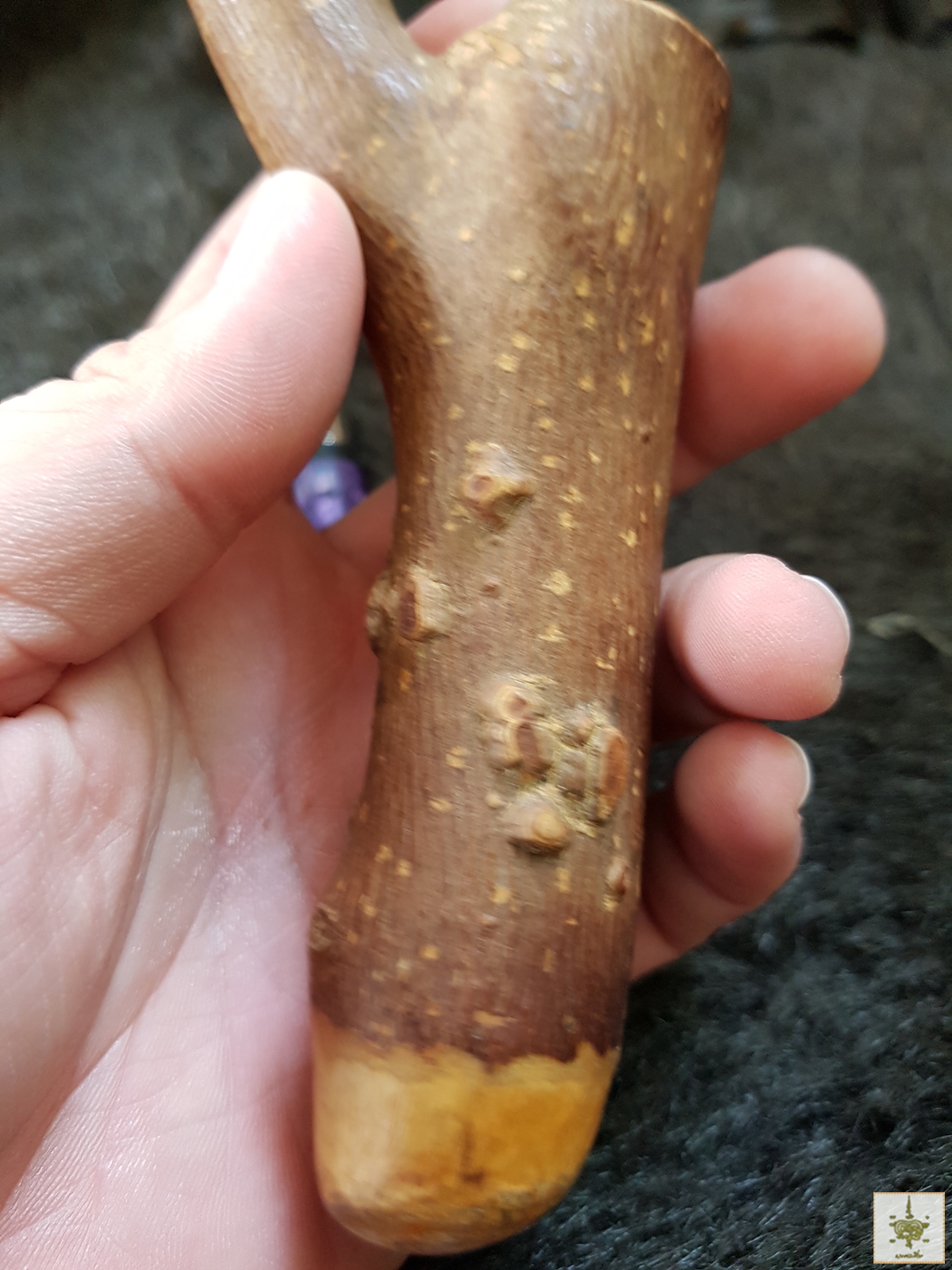 ไม้ญี่ปุ่น