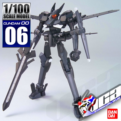 1/100 OVER FLAG