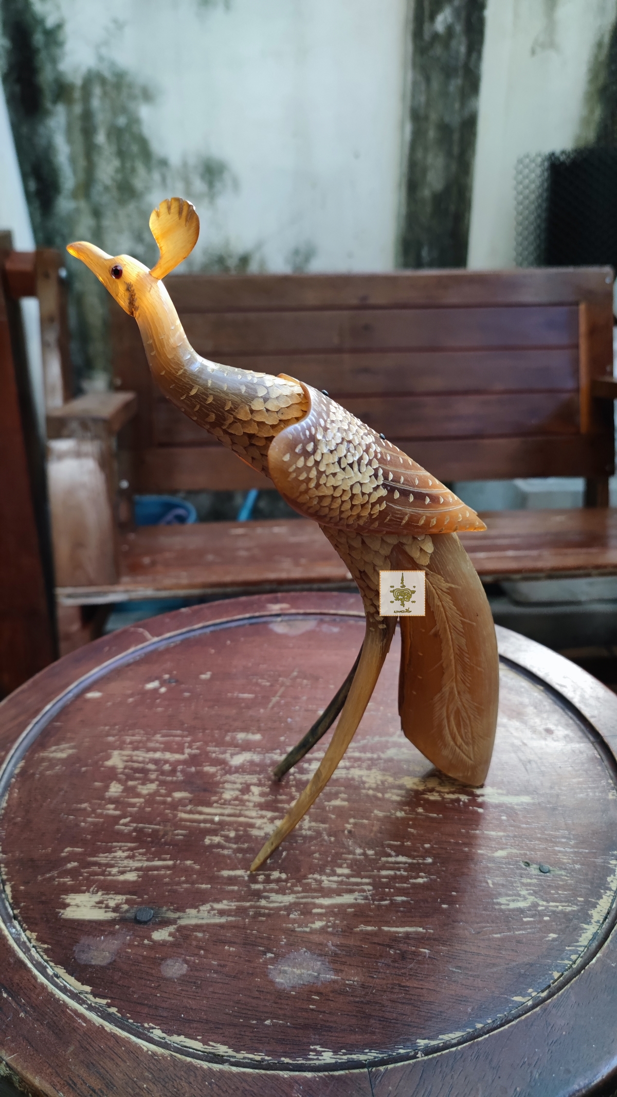 นกยูง เขาควายเผือก