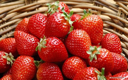 เมล็ดสะตอเบอร์รี่สีแดง Red fragaria ananassa 50 เมล็ด