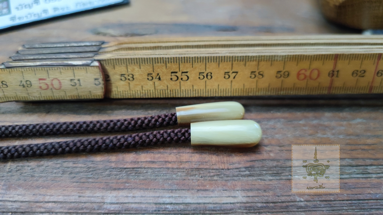 โบโลไทด์ คาวบอย