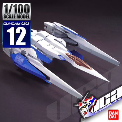 1/100 0 RAISER