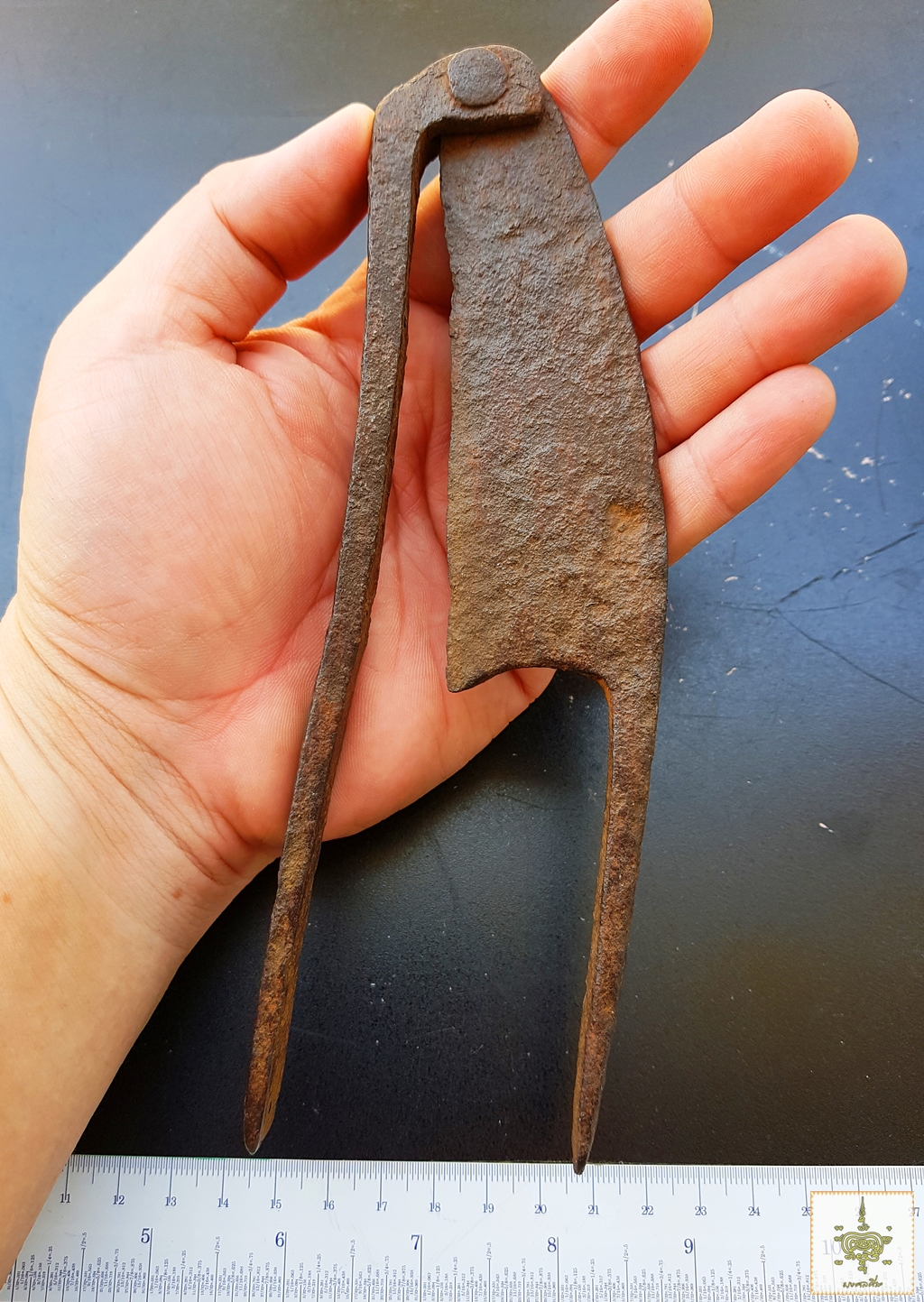 กรรไกรหนีบหมาก