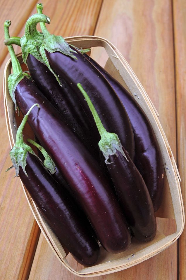 มะเขือยาว สีม่วง purple long eggplants 30 เมล็ด