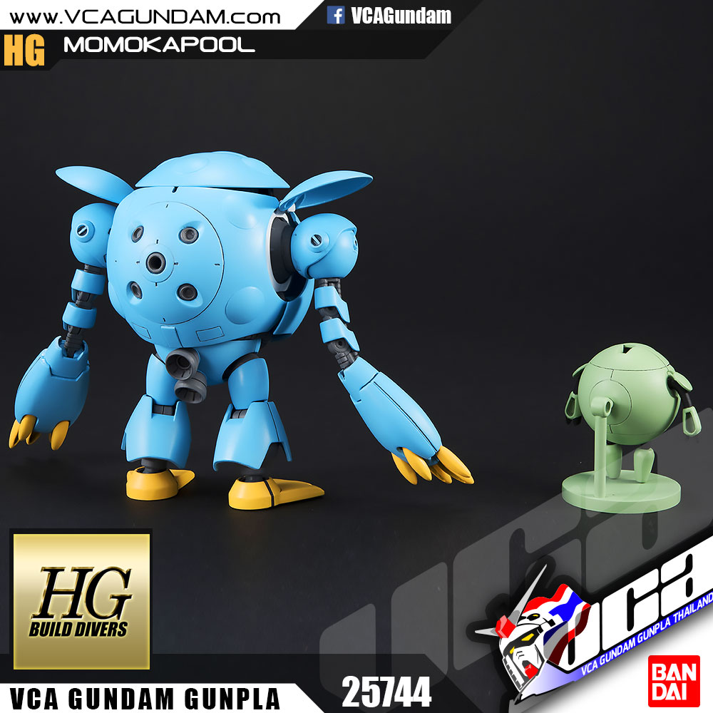 HG MOMOKAPOOL โมโมคาพูล