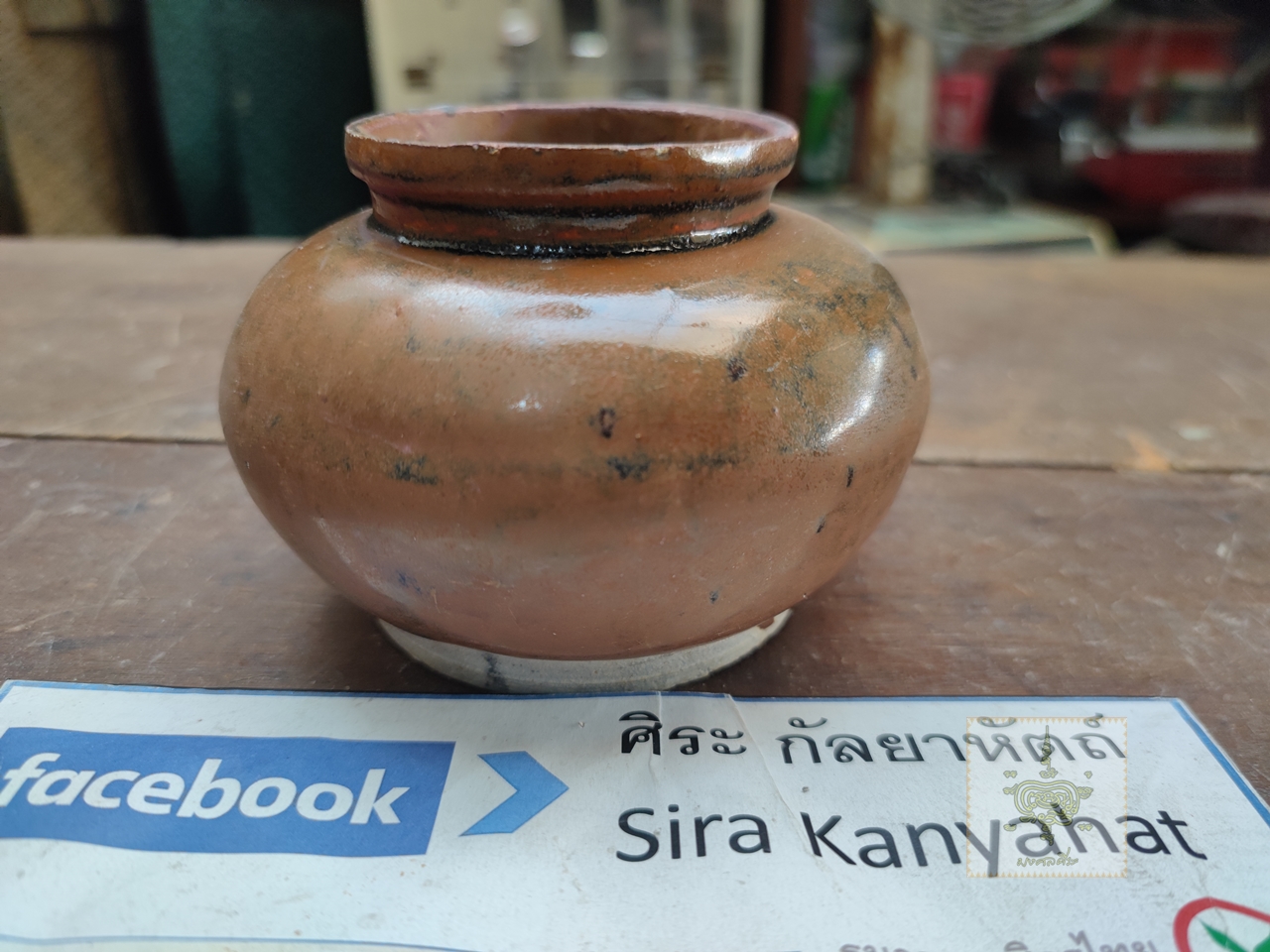 กระปุกตั้งฉ่าย สีน้ำตาลอ่อน