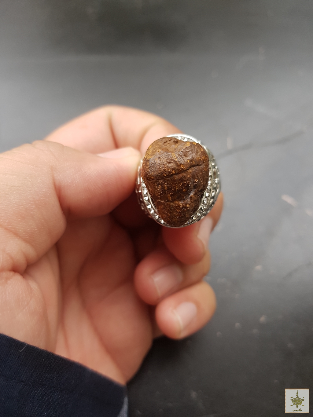 แหวนคตดักแด้