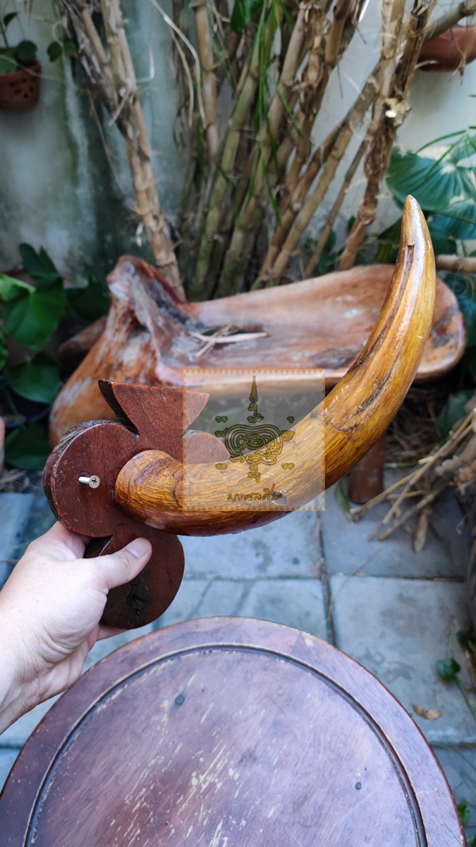 เขาวัว ติดไม้แขวนของ