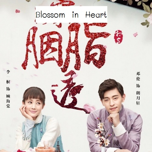 [จีนซับไทย] Blossom in Heart ไห่ถังฮวา แค้นรักวันฝนโปรย DVD 9 แผ่น