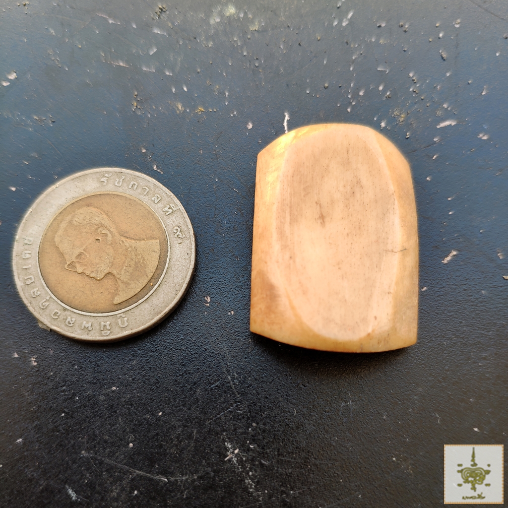 กระดูกสัตว์ ทำหัวแหวน