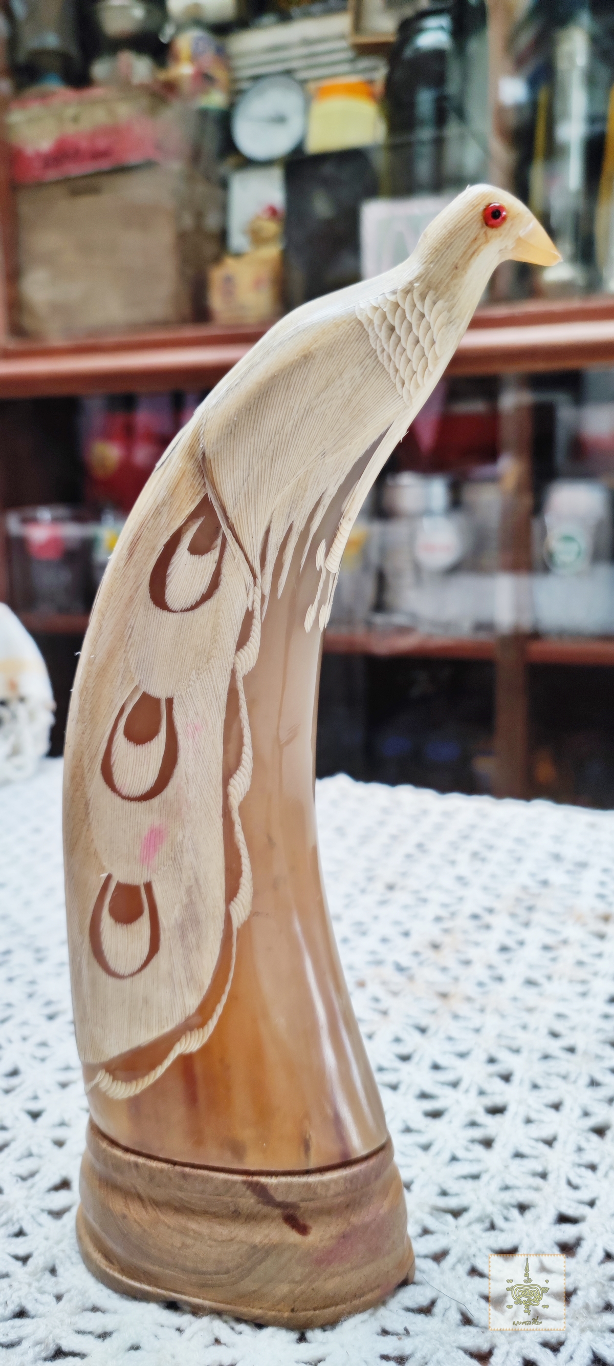 นกยูง คู่ เขาควายเผือก