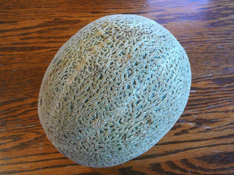 เมล่อนเนื้อเขียว กรีน นัทแมก Melon Green Nutmeg 10 เมล็ด