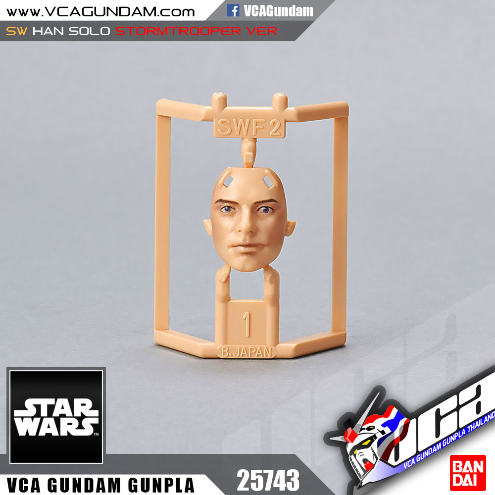 1/12 LUKE SKYWALKER STORMTROOPER VER