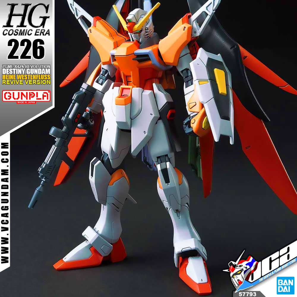 HG DESTINY GUNDAM (HEINE WESTENFLUSS CUSTOM)