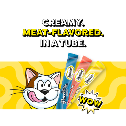Temptations(เทมพ์เทชั่น) ขนมแมวเลีย Temptations Creamy Purrr-ee เทมเทชันส์ ครีมมี่เพอเร่ 12gx4