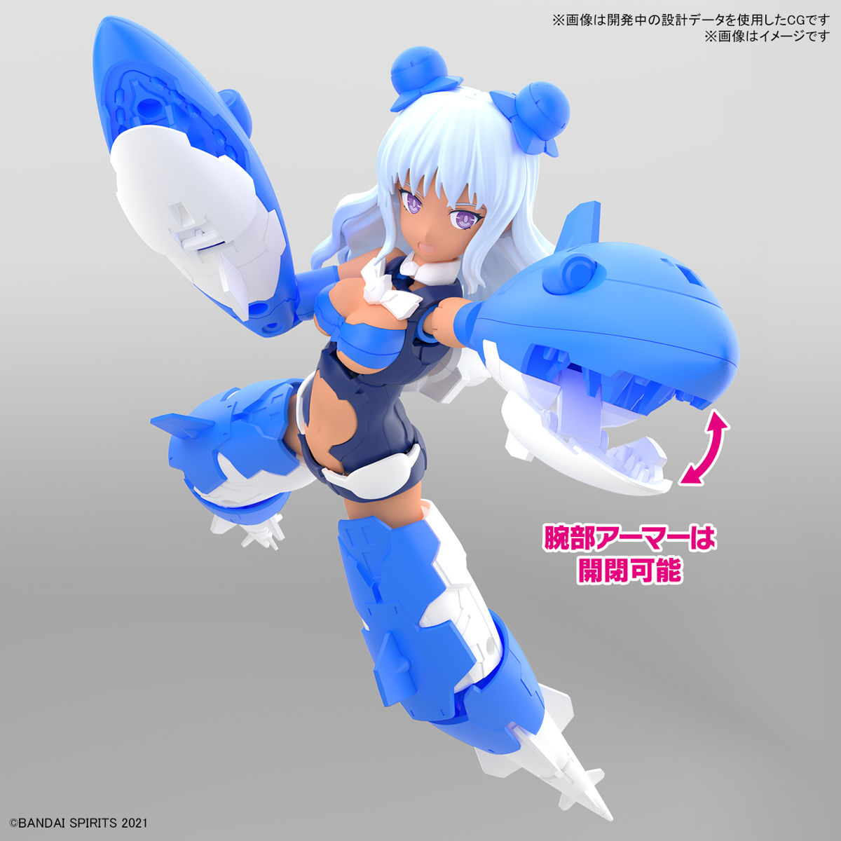 30MS SIS-AC19B SHIANA AMALCIA VIVACE FORM