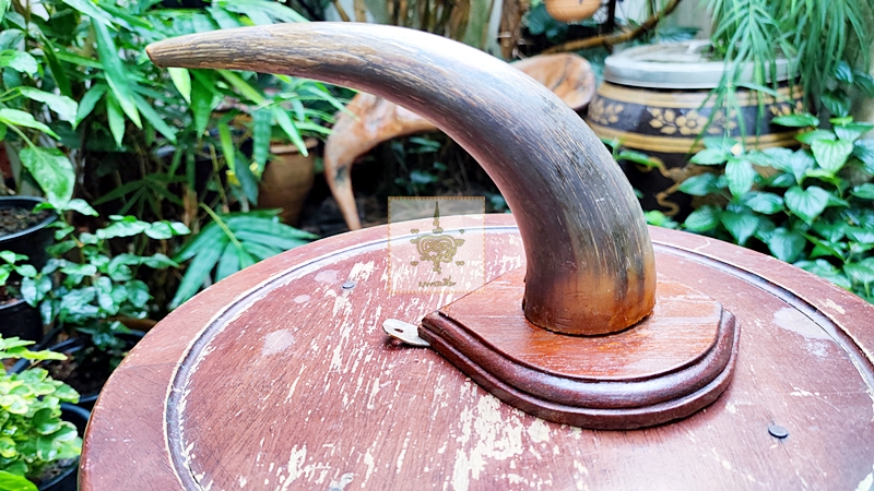 เขาวัว 1 ข้าง